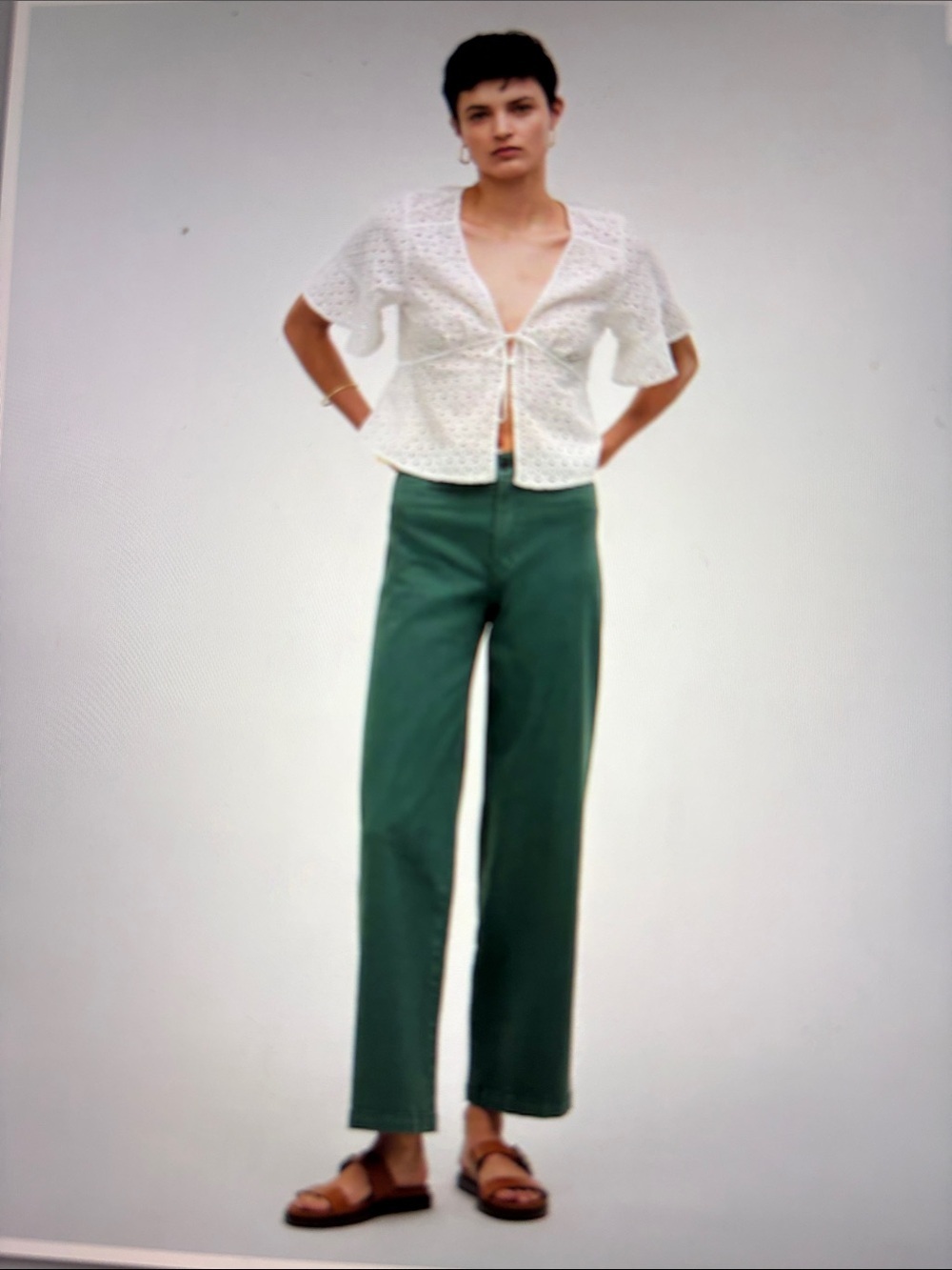 Madewell Emmett Wide Leg Crop Pants Welt Pocket Edition 29P